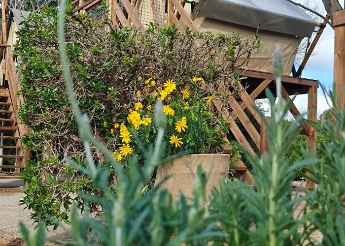 Valencia Kemping El Saler